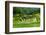 The Rice Terraces of Banaue, Northern Luzon, Philippines, Southeast Asia, Asia-Michael Runkel-Framed Photographic Print