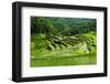 The Rice Terraces of Banaue, Northern Luzon, Philippines, Southeast Asia, Asia-Michael Runkel-Framed Photographic Print