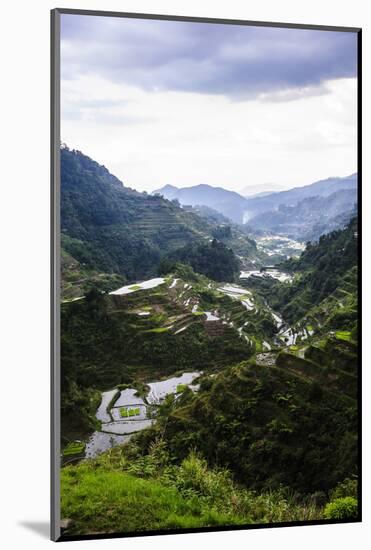 The Rice Terraces of Banaue, Northern Luzon, Philippines, Southeast Asia, Asia-Michael Runkel-Mounted Photographic Print