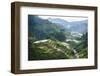 The Rice Terraces of Banaue, Northern Luzon, Philippines, Southeast Asia, Asia-Michael Runkel-Framed Photographic Print