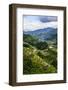 The Rice Terraces of Banaue, Northern Luzon, Philippines, Southeast Asia, Asia-Michael Runkel-Framed Photographic Print