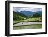 The Rice Terraces of Banaue, Northern Luzon, Philippines, Southeast Asia, Asia-Michael Runkel-Framed Photographic Print