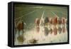 The Rice Weeders (For Eighty Cents)-Angelo Morbelli-Framed Stretched Canvas