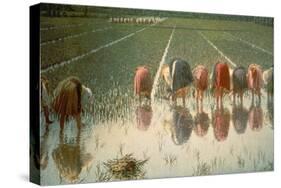The Rice Weeders (For Eighty Cents)-Angelo Morbelli-Stretched Canvas
