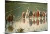 The Rice Weeders (For Eighty Cents)-Angelo Morbelli-Mounted Giclee Print