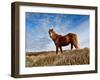 The Ride-Will Wilkinson-Framed Photographic Print