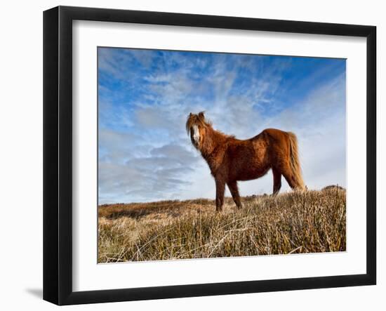 The Ride-Will Wilkinson-Framed Photographic Print