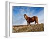 The Ride-Will Wilkinson-Framed Photographic Print