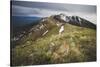 The Ridge Line Of The Wellsville Mountains Leading To The Wellsville Cone And Box Elder Peak, Utah-Louis Arevalo-Stretched Canvas