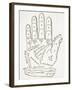 The Right Hand, Copy of an Illustration from 'Cerasariensis' by Tricassus, Nuremberg 1560-German School-Framed Giclee Print