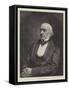 The Right Honourable W E Gladstone-null-Framed Stretched Canvas