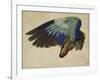 The Right Wing of a Blue Roller, 1524-Albrecht Dürer-Framed Giclee Print