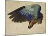 The Right Wing of a Blue Roller, 1524-Albrecht Dürer-Mounted Giclee Print