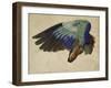 The Right Wing of a Blue Roller, 1524-Albrecht Dürer-Framed Giclee Print