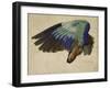 The Right Wing of a Blue Roller, 1524-Albrecht Dürer-Framed Giclee Print