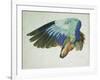 The Right Wing of a Blue Roller-Hans Hoffmann-Framed Giclee Print