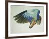 The Right Wing of a Blue Roller-Hans Hoffmann-Framed Giclee Print