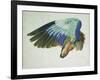 The Right Wing of a Blue Roller-Hans Hoffmann-Framed Giclee Print