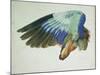 The Right Wing of a Blue Roller-Hans Hoffmann-Mounted Giclee Print