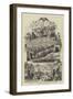 The Rigi Railway, Switzerland-null-Framed Premium Giclee Print