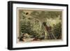 The Rigi Railway, Switzerland-null-Framed Giclee Print