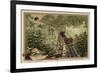 The Rigi Railway, Switzerland-null-Framed Giclee Print