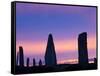 The Ring of Brodgar Standing Stones Orkney Islands Scotland-Peter Adams-Framed Stretched Canvas