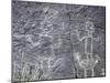 The Rio Grande petroglyphs, Native American, New Mexico, USA-Werner Forman-Mounted Premium Photographic Print