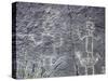 The Rio Grande petroglyphs, Native American, New Mexico, USA-Werner Forman-Stretched Canvas