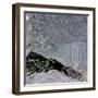 The Rio Grande petroglyphs, Native American, New Mexico, USA-Werner Forman-Framed Premium Photographic Print