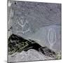 The Rio Grande petroglyphs, Native American, New Mexico, USA-Werner Forman-Mounted Premium Photographic Print