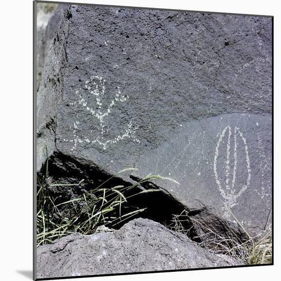 The Rio Grande petroglyphs, Native American, New Mexico, USA-Werner Forman-Mounted Photographic Print