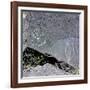 The Rio Grande petroglyphs, Native American, New Mexico, USA-Werner Forman-Framed Photographic Print