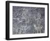 The Rio Grande petroglyphs, Native American, New Mexico, USA-Werner Forman-Framed Photographic Print