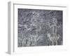 The Rio Grande petroglyphs, Native American, New Mexico, USA-Werner Forman-Framed Photographic Print