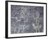 The Rio Grande petroglyphs, Native American, New Mexico, USA-Werner Forman-Framed Photographic Print