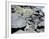 The Rio Grande petroglyphs, Native American, New Mexico, USA-Werner Forman-Framed Photographic Print