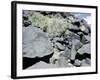 The Rio Grande petroglyphs, Native American, New Mexico, USA-Werner Forman-Framed Photographic Print