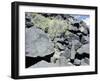 The Rio Grande petroglyphs, Native American, New Mexico, USA-Werner Forman-Framed Premium Photographic Print