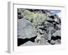 The Rio Grande petroglyphs, Native American, New Mexico, USA-Werner Forman-Framed Premium Photographic Print