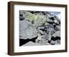 The Rio Grande petroglyphs, Native American, New Mexico, USA-Werner Forman-Framed Photographic Print