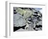 The Rio Grande petroglyphs, Native American, New Mexico, USA-Werner Forman-Framed Photographic Print