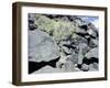 The Rio Grande petroglyphs, Native American, New Mexico, USA-Werner Forman-Framed Photographic Print