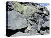 The Rio Grande petroglyphs, Native American, New Mexico, USA-Werner Forman-Stretched Canvas