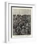 The Riots in Paris in Connection with the Closing of the Schools Controlled by Nuns-Henry Marriott Paget-Framed Premium Giclee Print