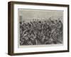 The Riots in St Petersburg, Cossacks Driving Back the Crowd with the Knout-Paul Frenzeny-Framed Giclee Print