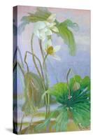 The Rise of White Lotus-Ailian Price-Stretched Canvas