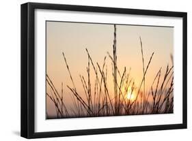 The Rising Sun Is Shining Through Shrubs-Felix Strohbach-Framed Premium Photographic Print