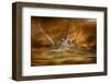 The Rising-Willy Marthinussen-Framed Photographic Print