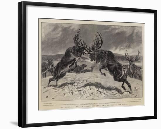 The Rivals, a Battle Royal Between Two Newfoundland Stags-John Charlton-Framed Giclee Print